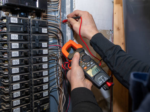 Best Ceiling Fan Installation Electrician  in Robins, IA